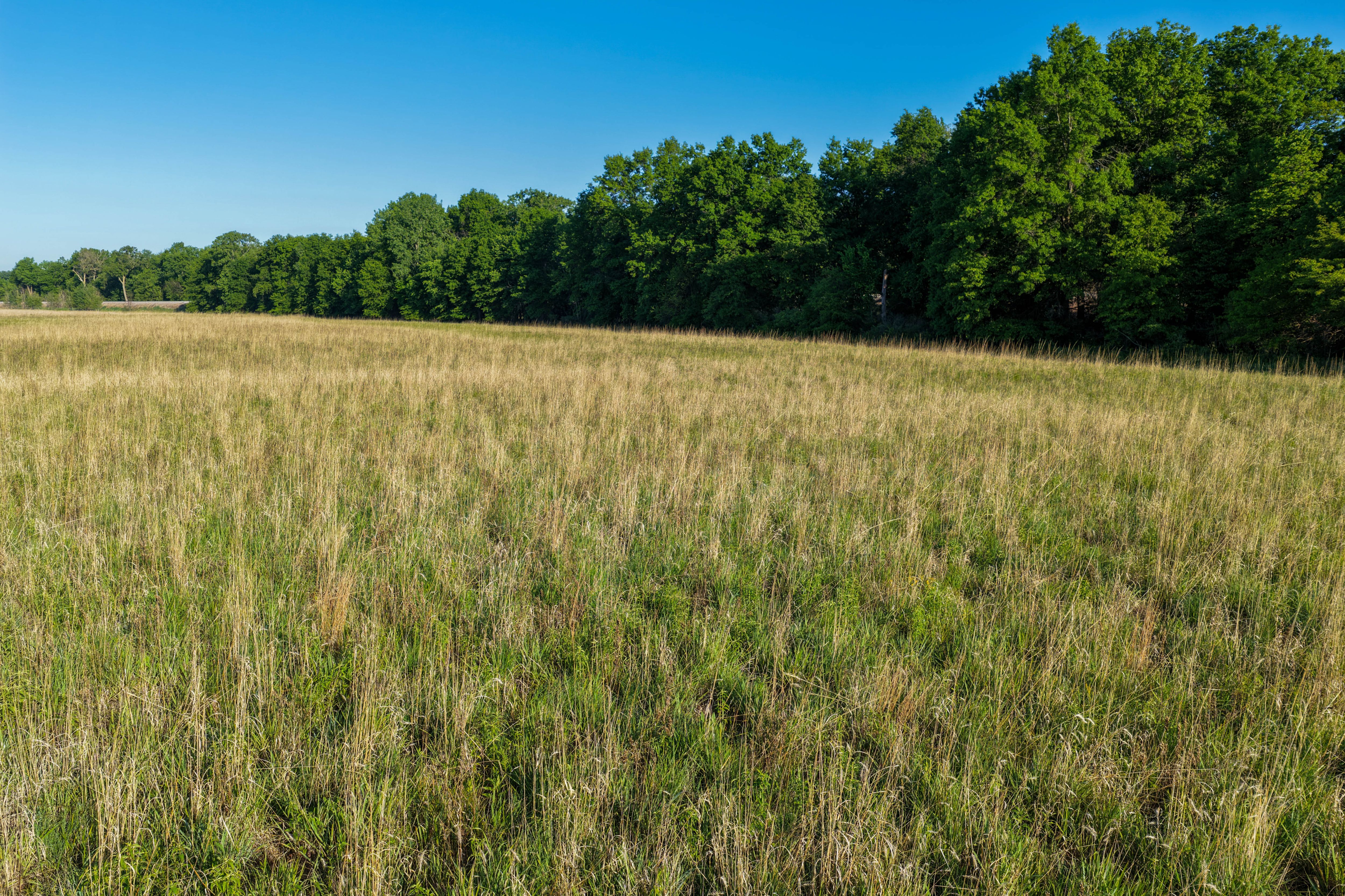 Listing Photo: Washington County Iowa Combination Farm For Sale-27